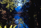 Fiordland ID 102055.jpg